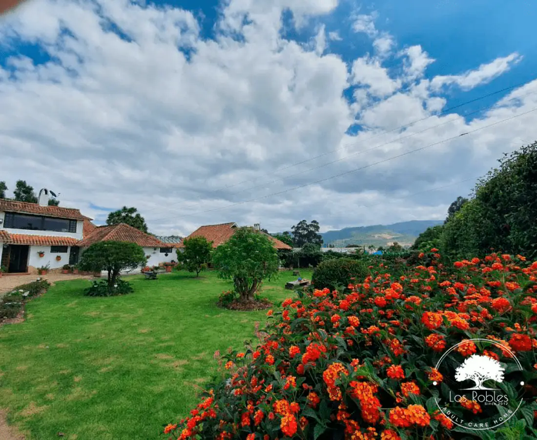 Jardín o zona exterior de Gerontológico Los Robles