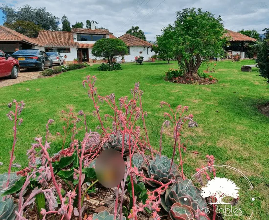 Jardín o zona exterior de Gerontológico Los Robles. Los rostros aparecen difuminados.