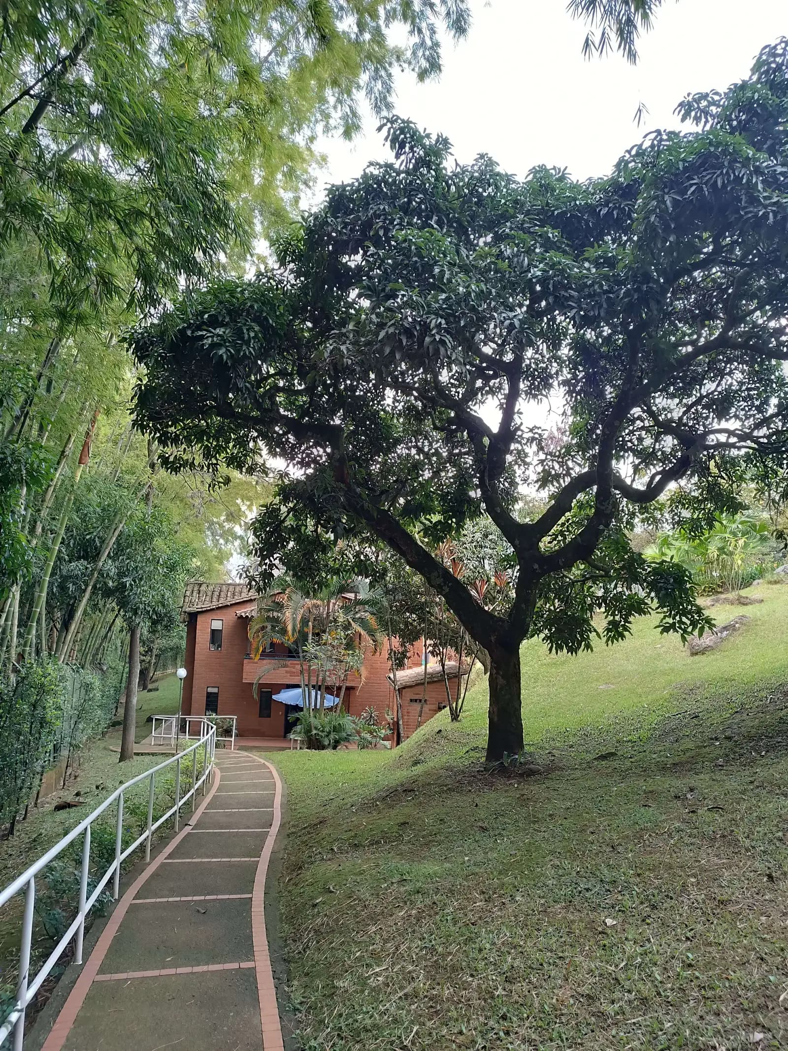 Jardín o zona exterior de Fundación Hogar Vizcaya