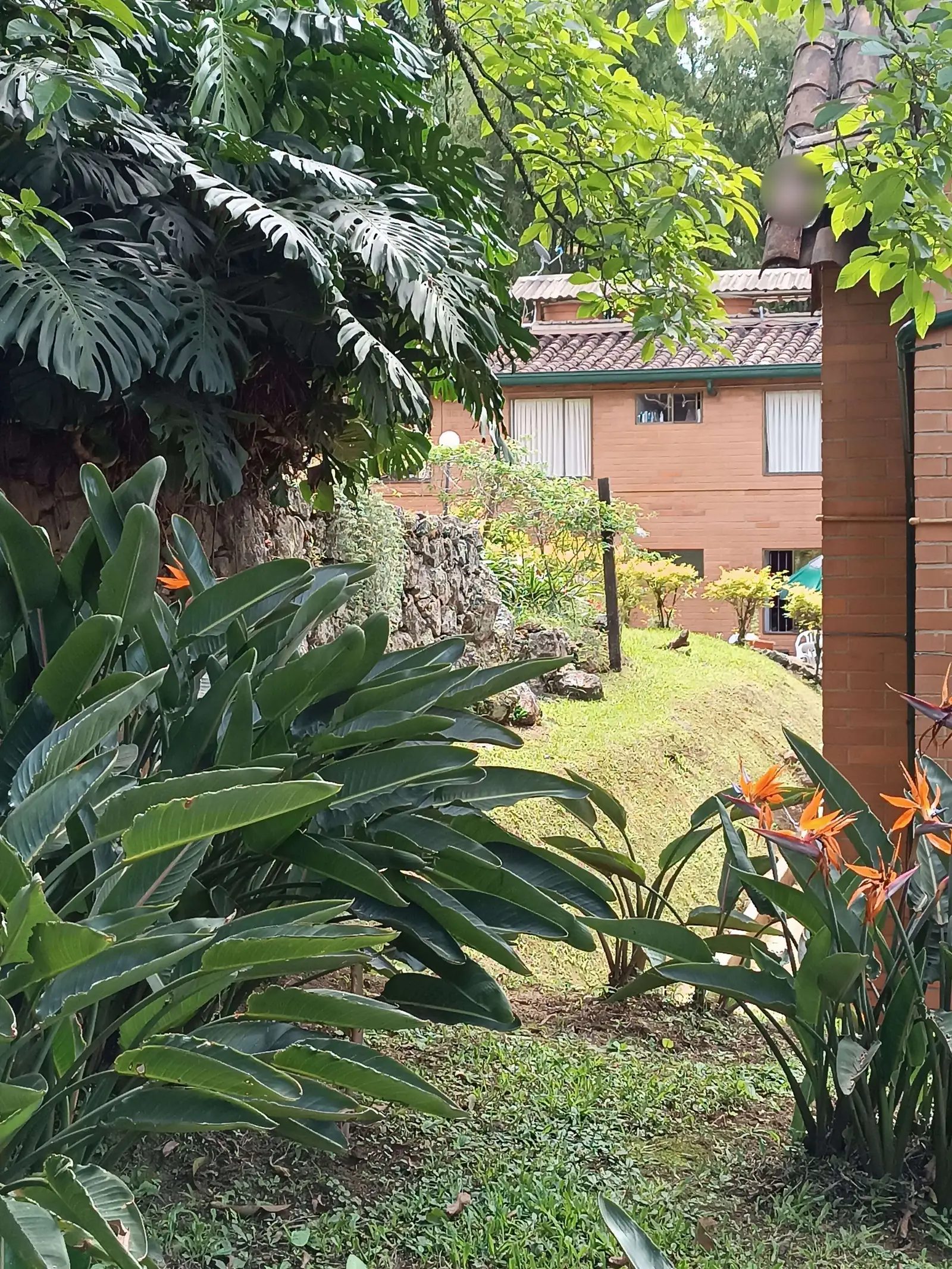 Jardín o zona exterior de Fundación Hogar Vizcaya. Los rostros aparecen difuminados.