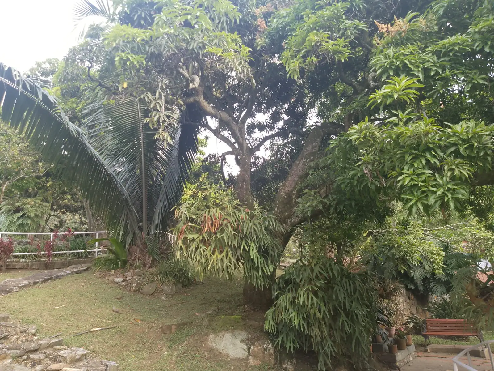 Jardín o zona exterior de Fundación Hogar Vizcaya